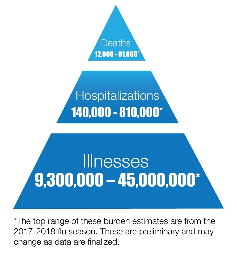 Zoom Influenza-Chart-Infographic-high-res.jpg