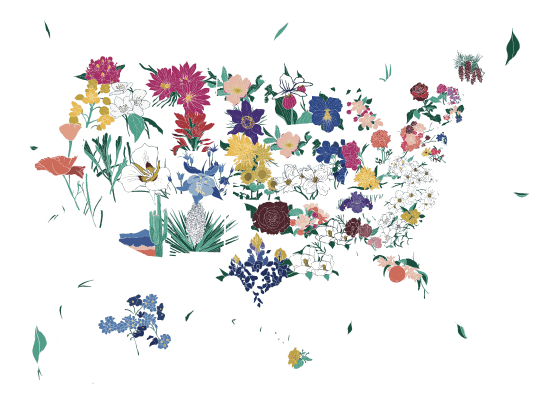 usa flower map color