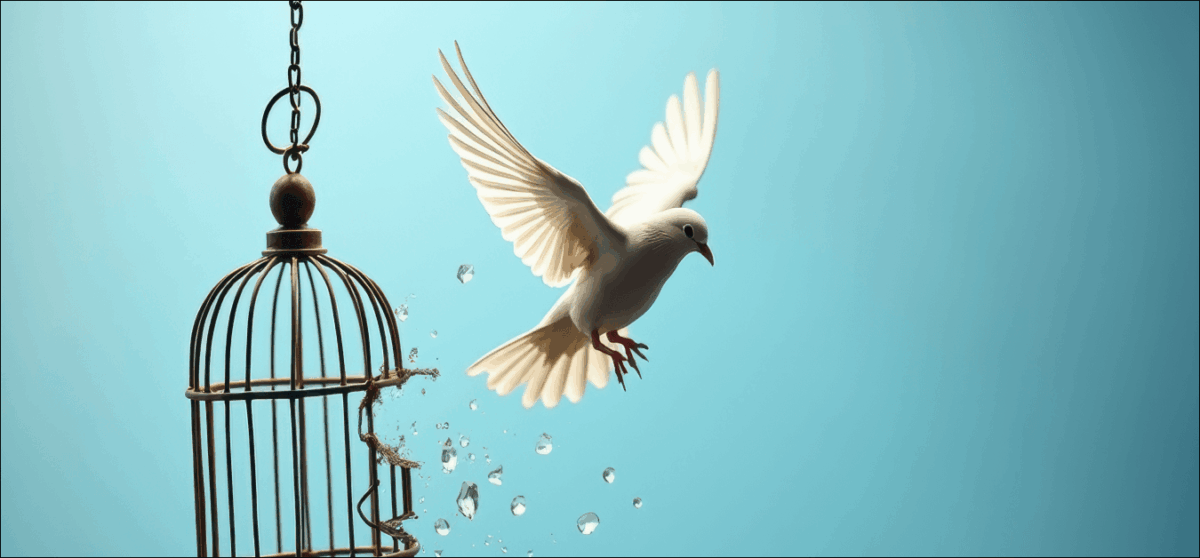 A white dove takes flight from a broken birdcage, symbolizing freedom and liberation.